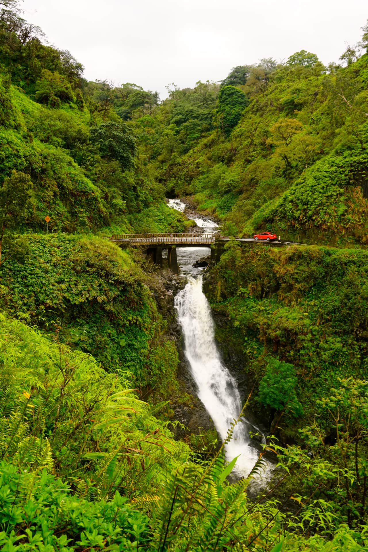 Falls with Bridge - Hana Bound - Holo Holo Maui Tours