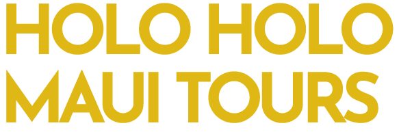 imgi_1_Logo-Concept