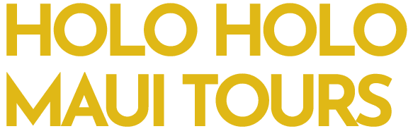 imgi_1_Logo-Concept